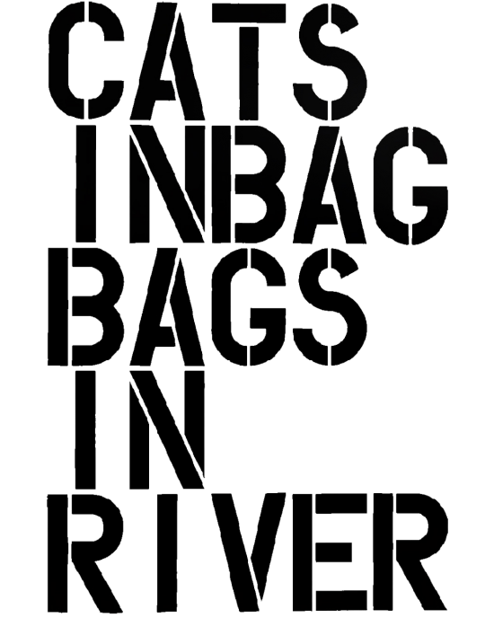 CATS IN BAG t-shirt