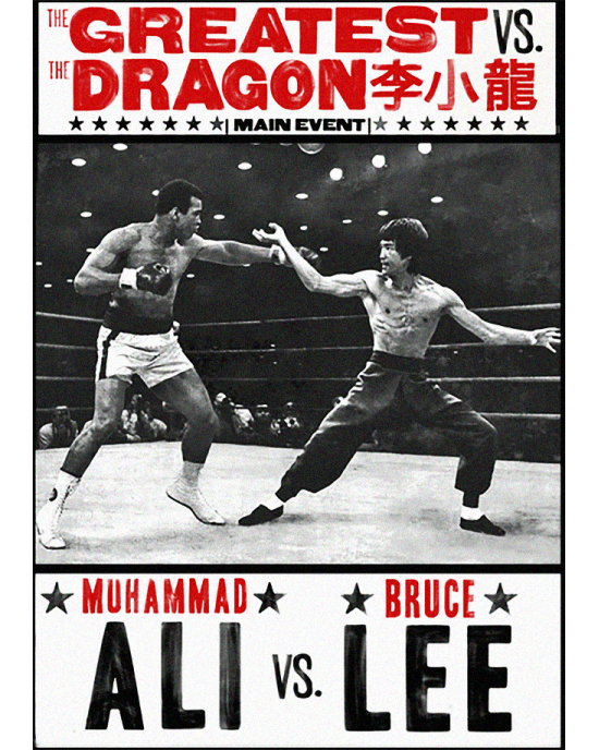 АLI VS. LEE t-shirt